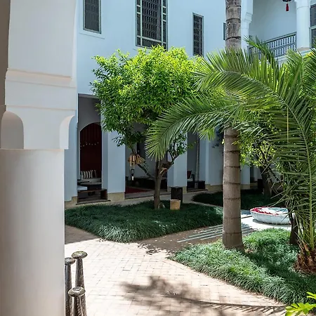 Riad Talaa12-3